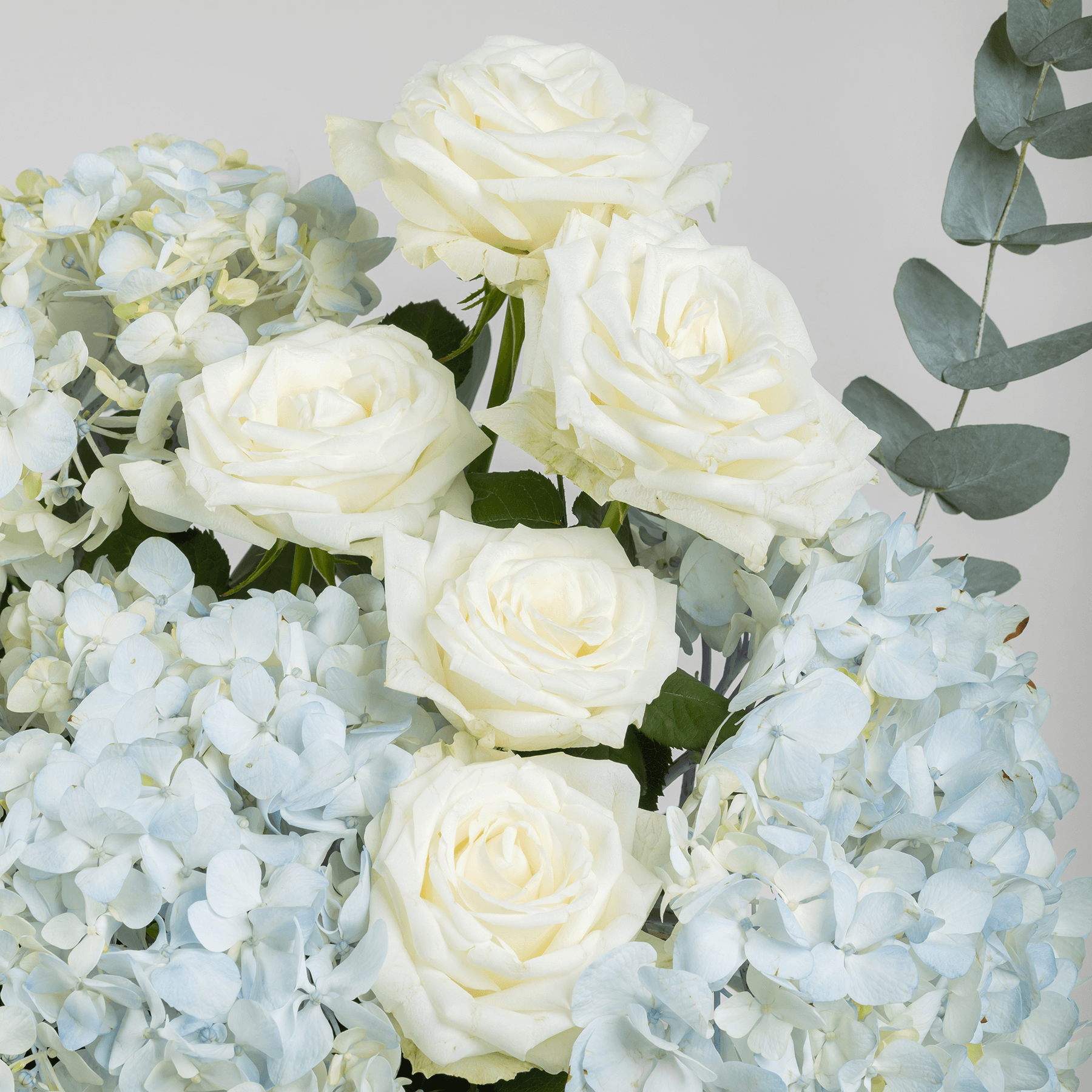 باقة زهور السماء الزرقاء