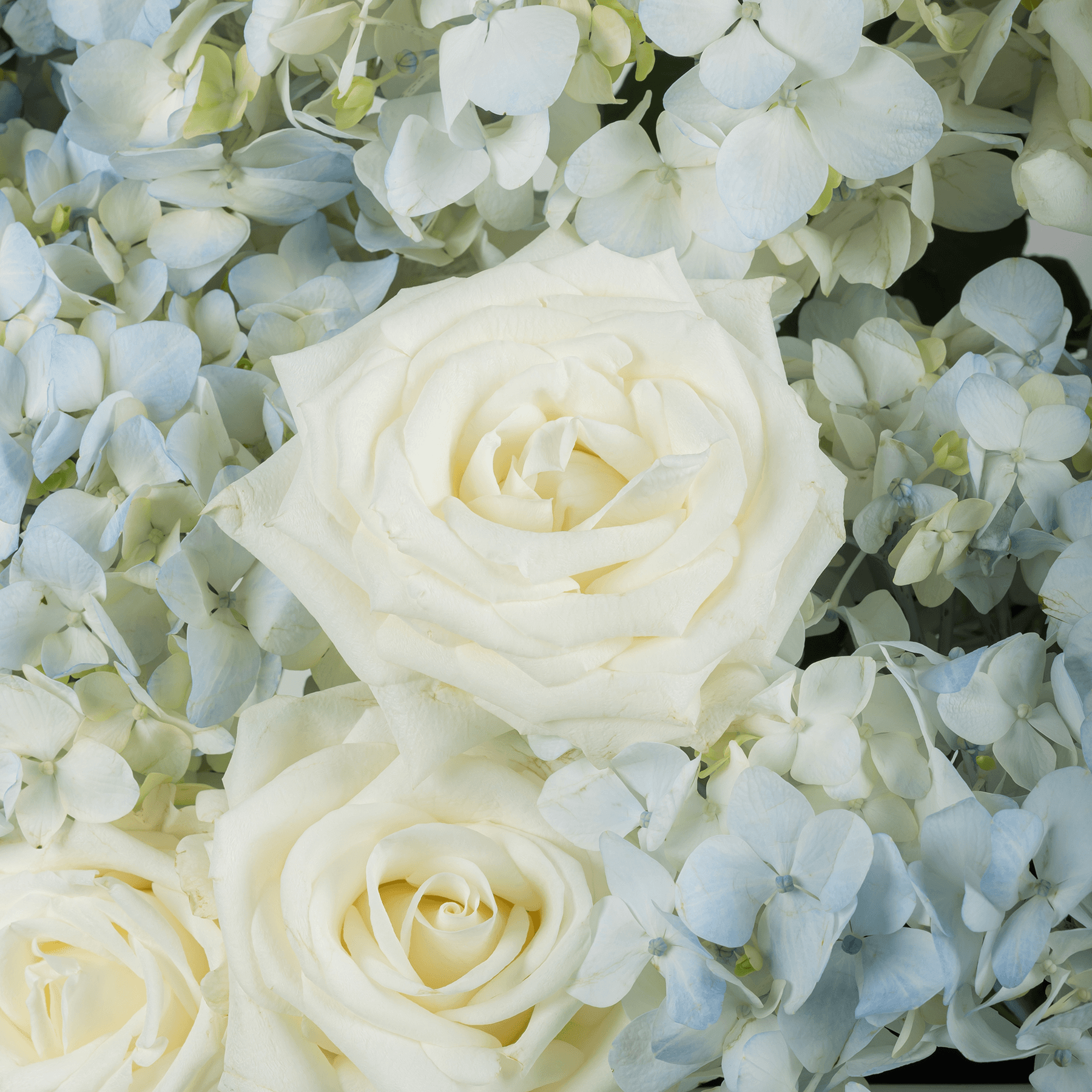 باقة زهور السماء الزرقاء