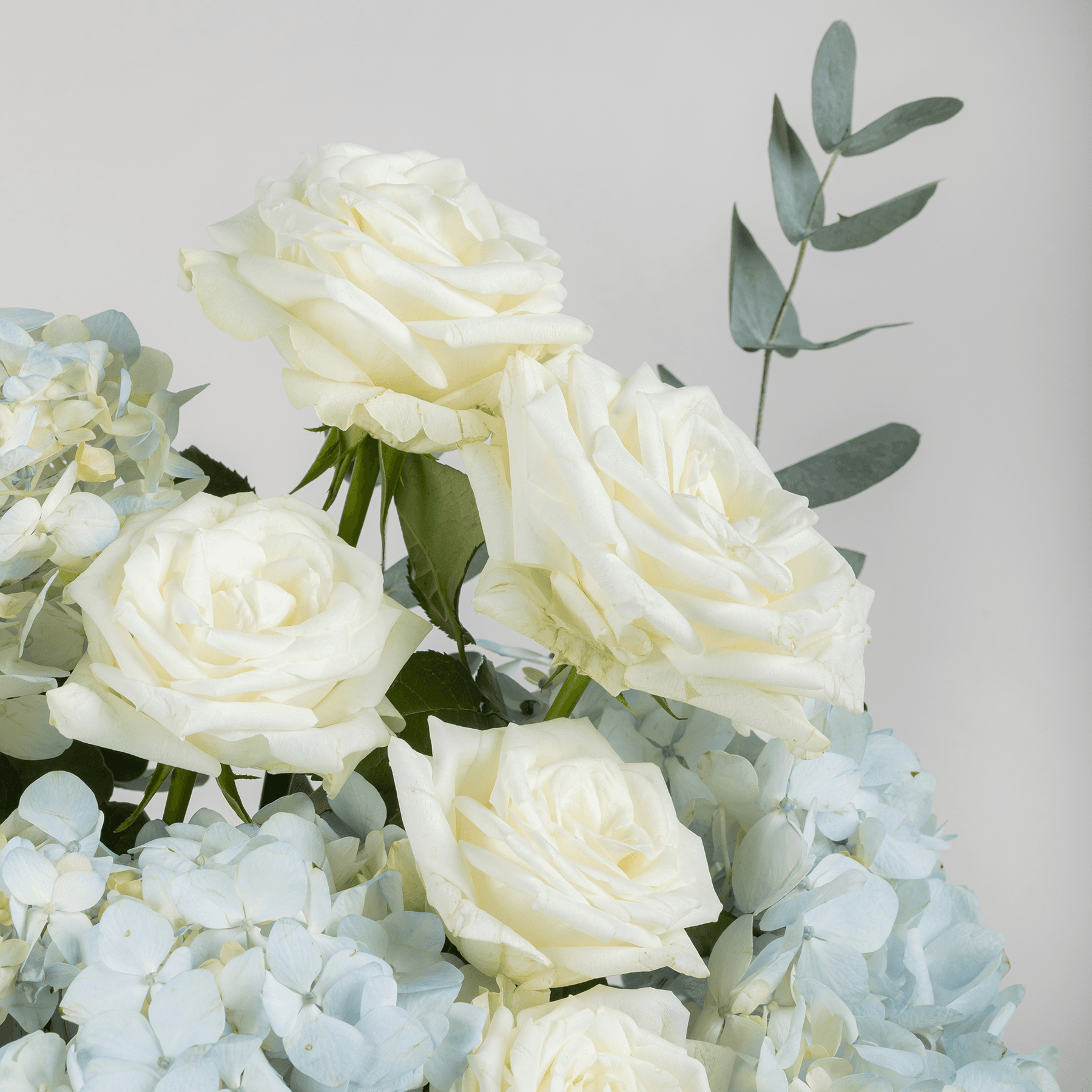 باقة زهور السماء الزرقاء