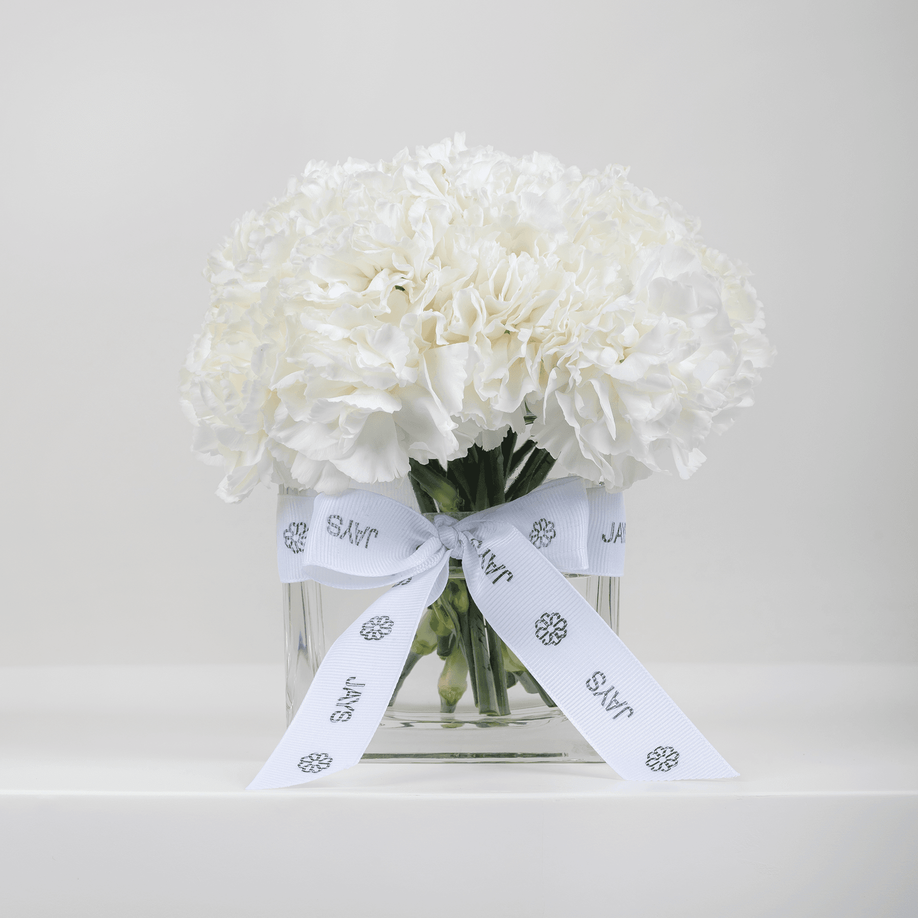 مزهرية القرنفل الأبيض "بيس"