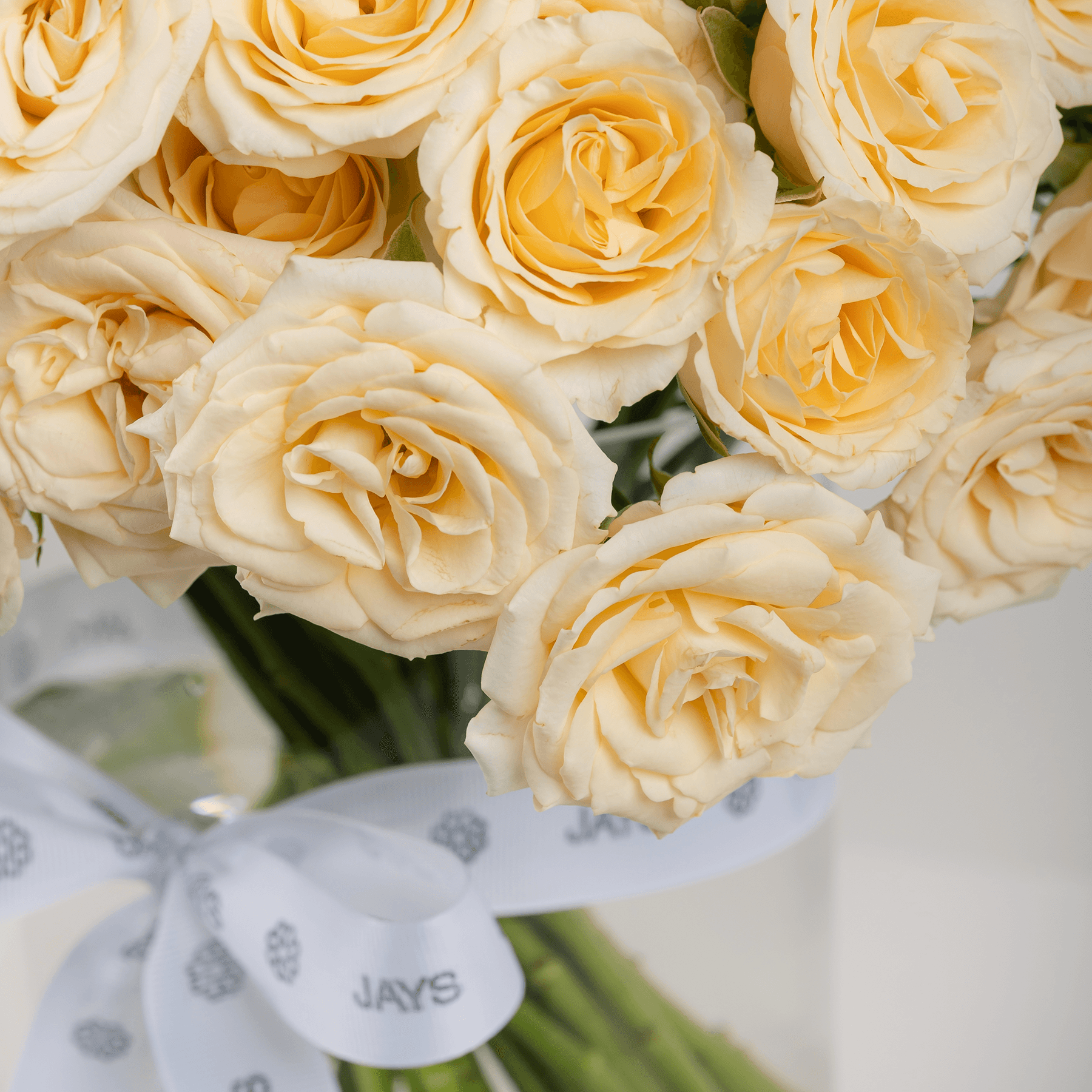 مزهرية ورد بيبي روز بيج