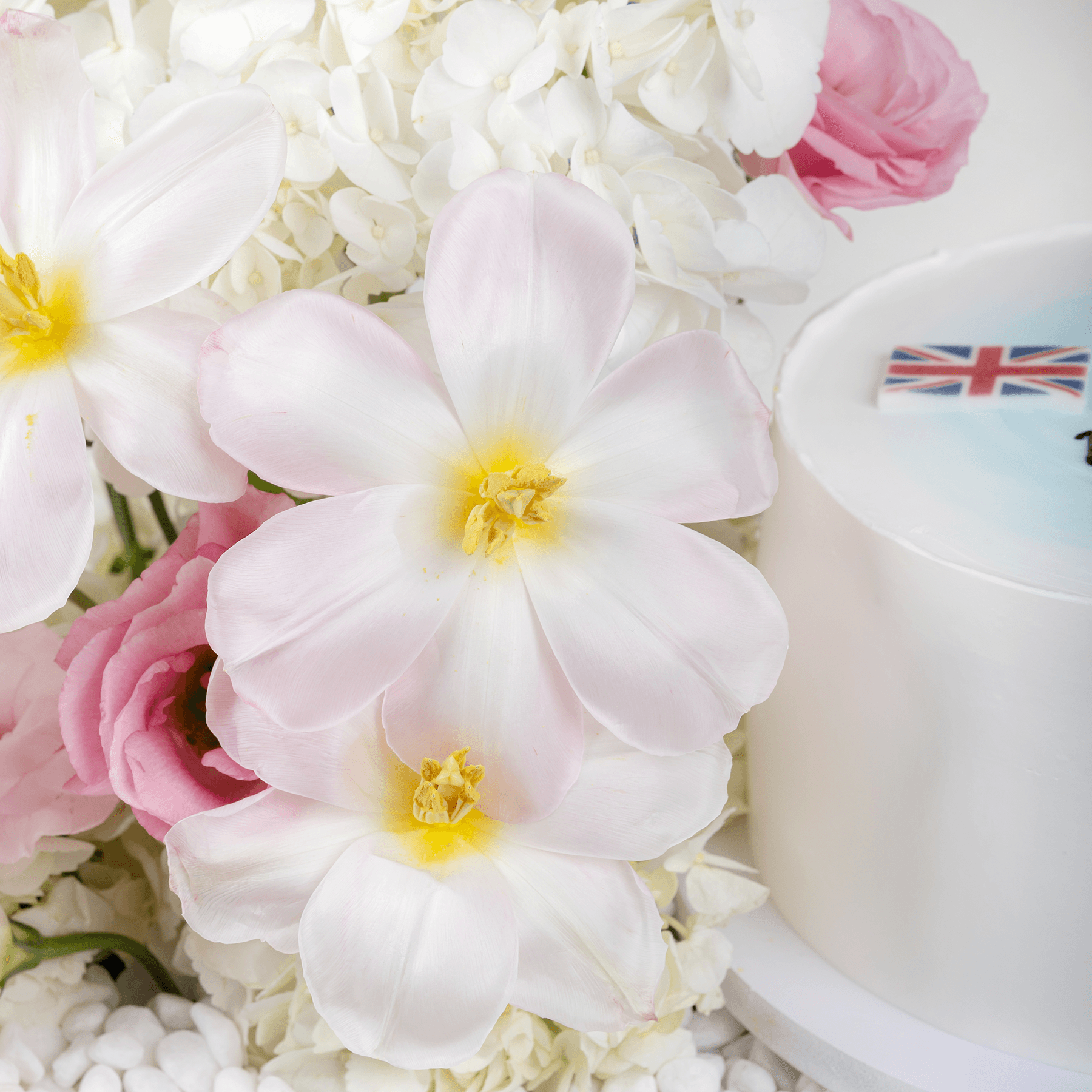 بلوم بسايد يو