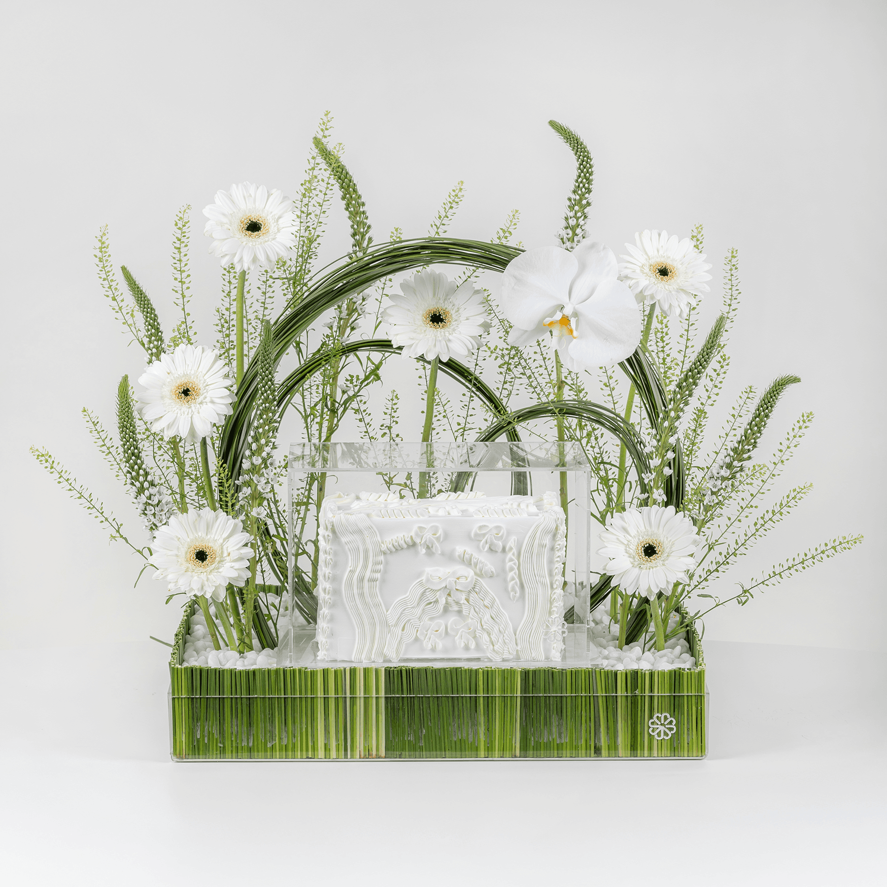 أوركيد سيمفوني