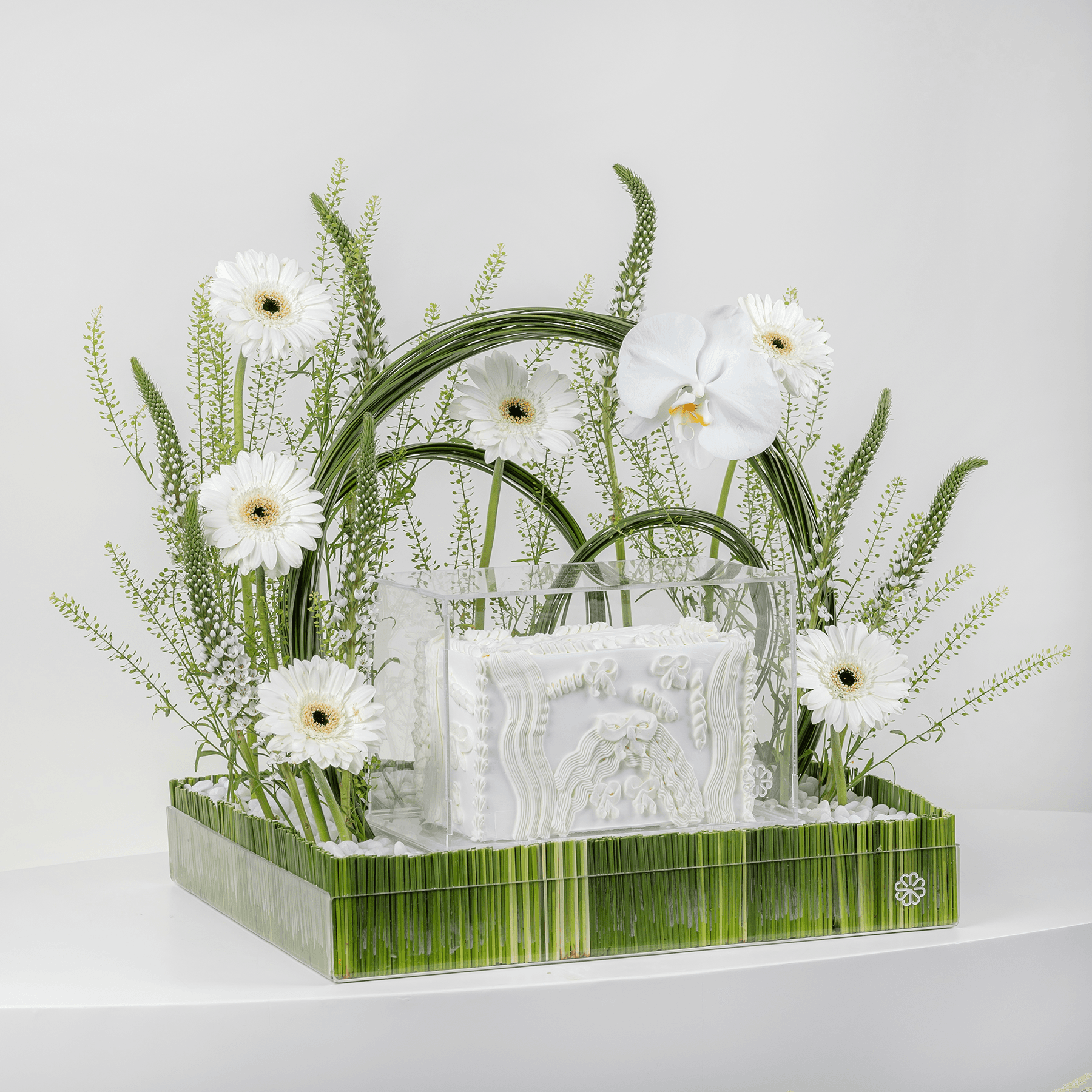 أوركيد سيمفوني