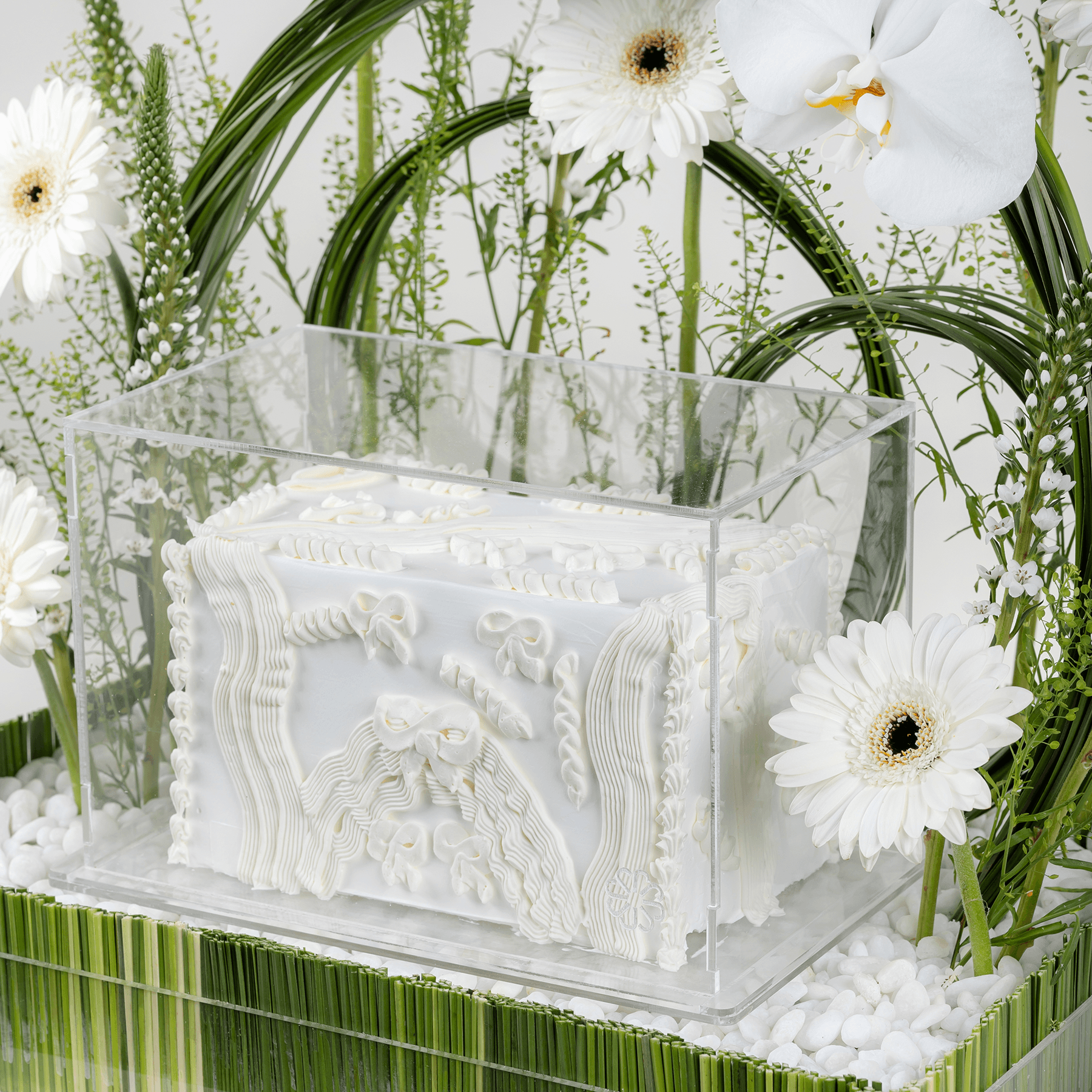 أوركيد سيمفوني