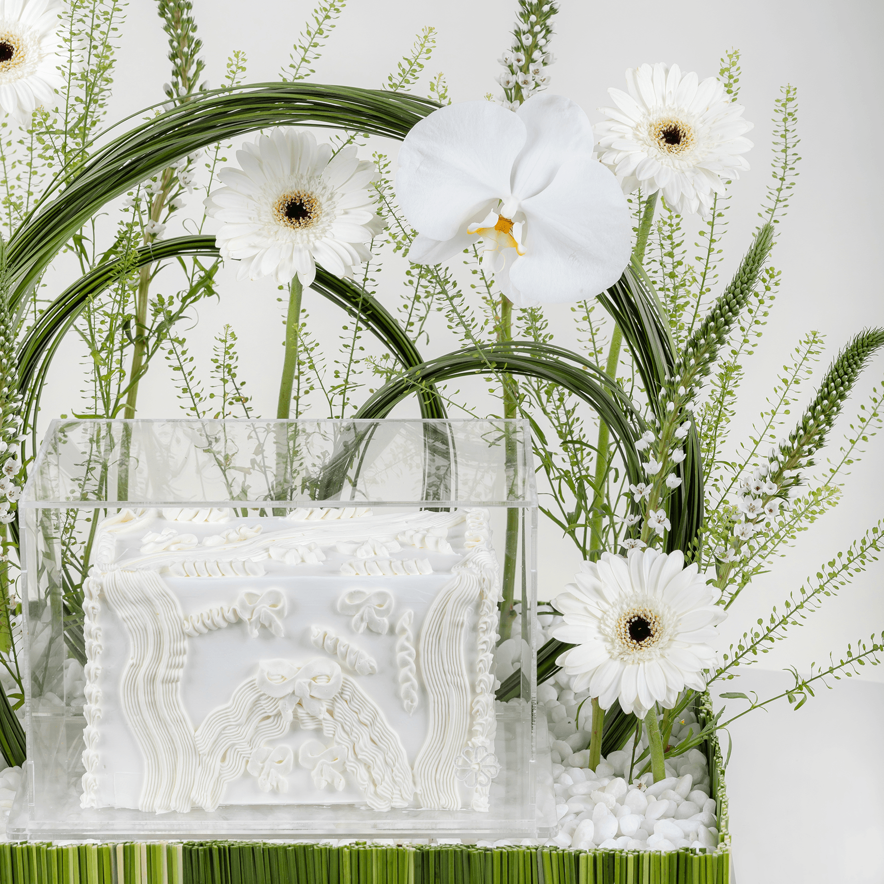 أوركيد سيمفوني