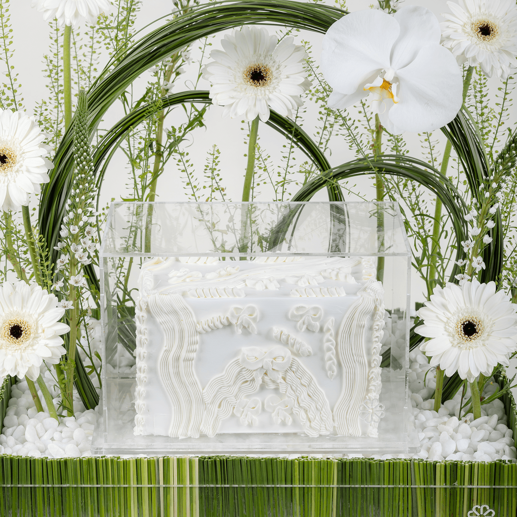 أوركيد سيمفوني