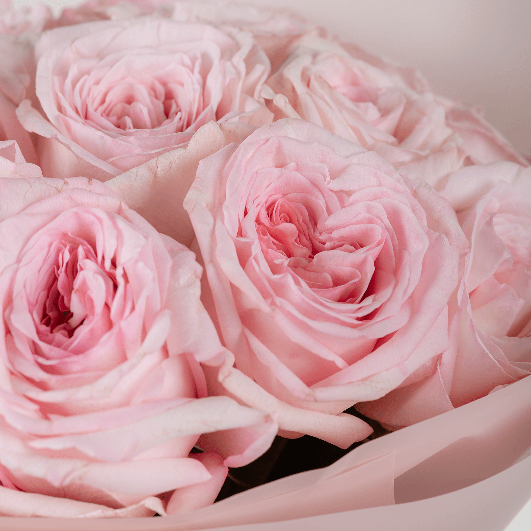 15 Ohara Pink Roses Bouquet