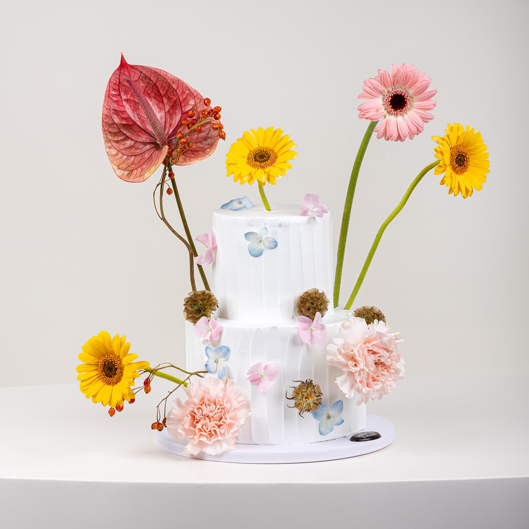 ذا بلوسم كيك