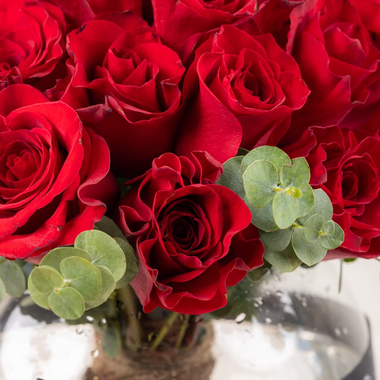 إيفر ريد روزيز فيز