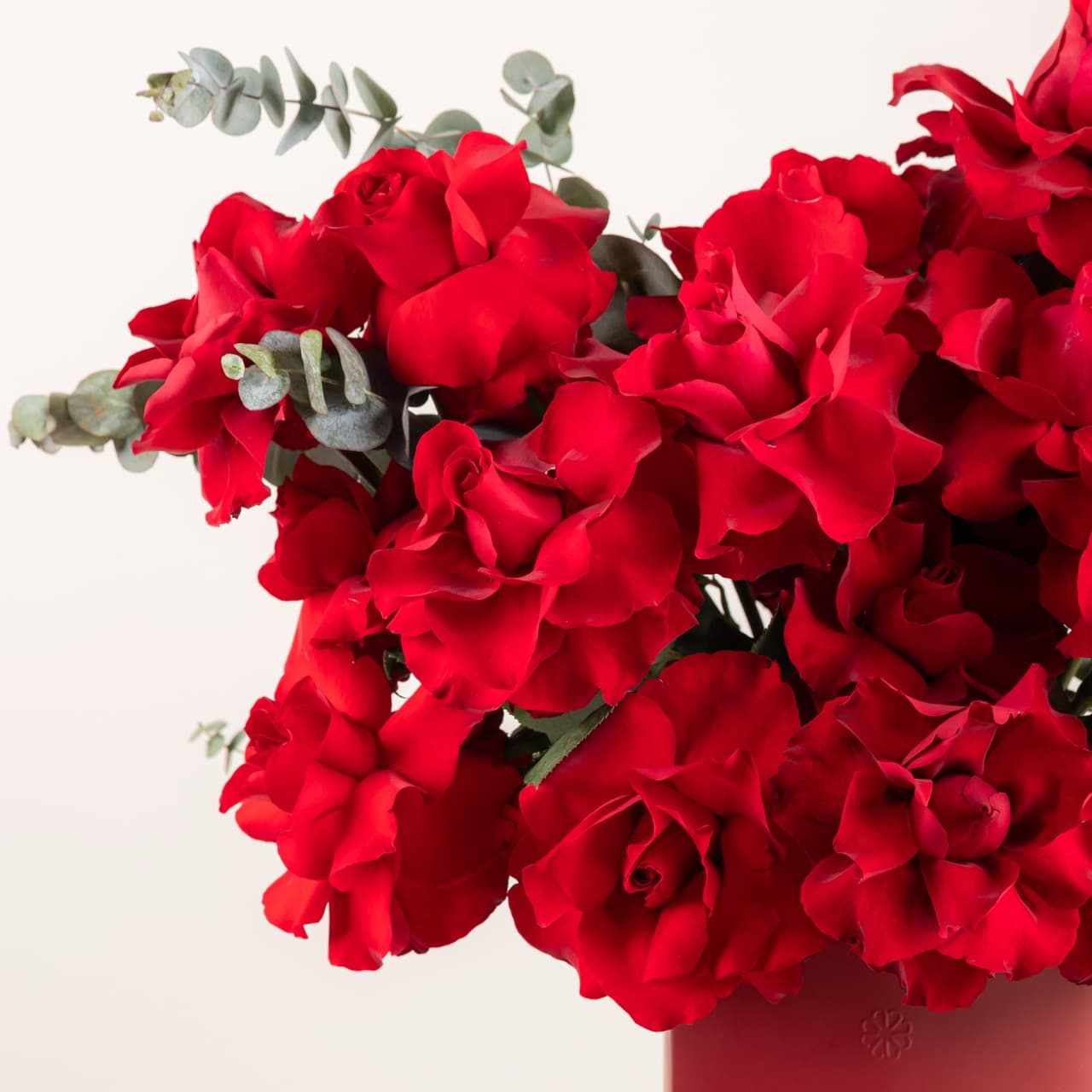 بريف لاف - إيفر ريد