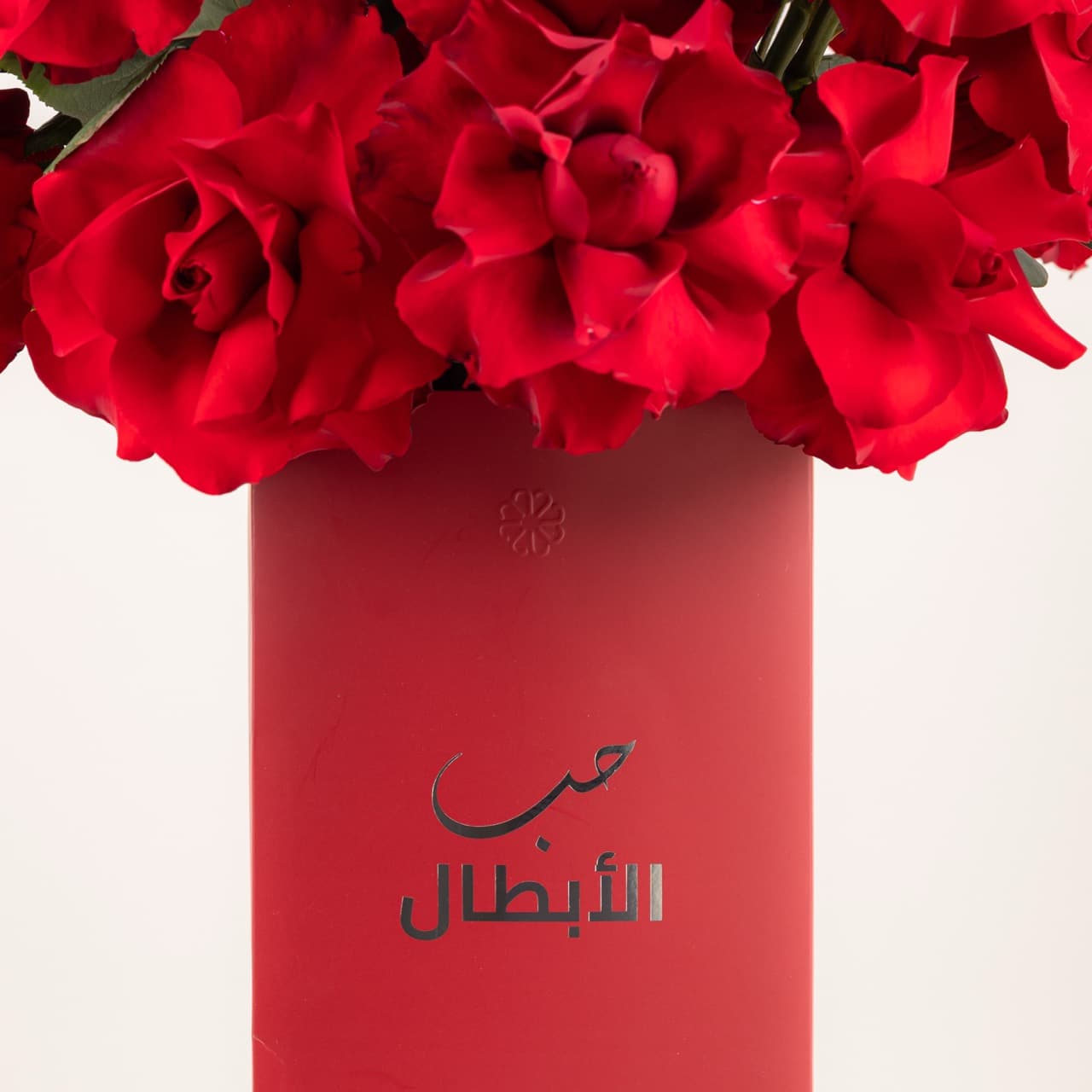 بريف لاف - إيفر ريد