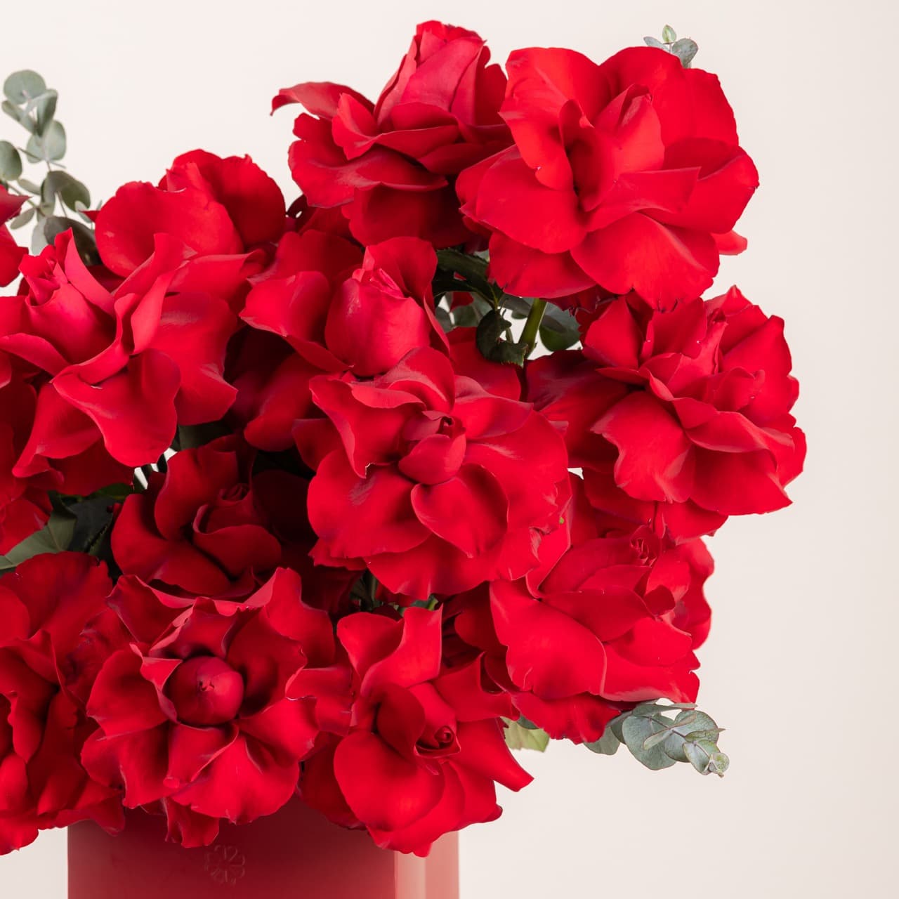 بريف لاف - إيفر ريد