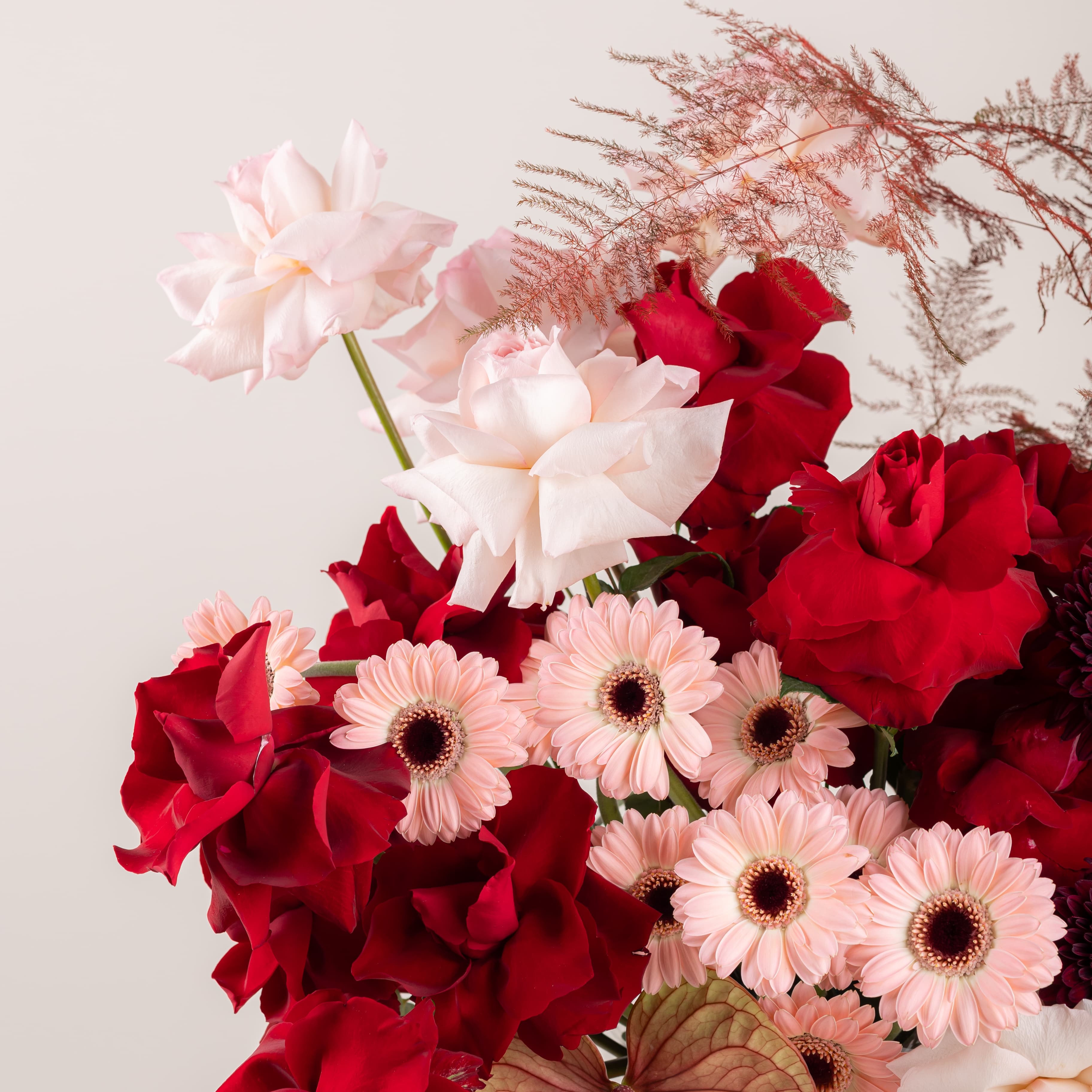 بريف لاف - إيتيرنال