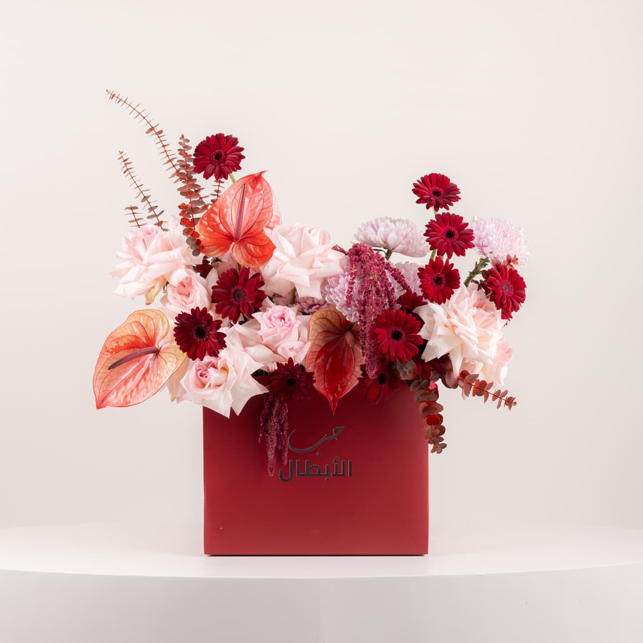 بريف لاف - بروميس