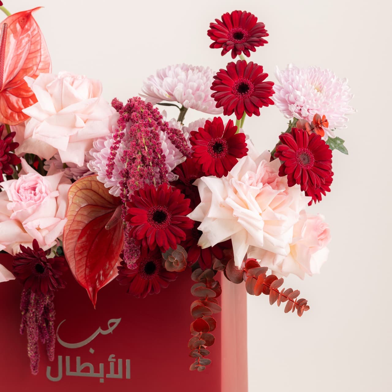 بريف لاف - بروميس