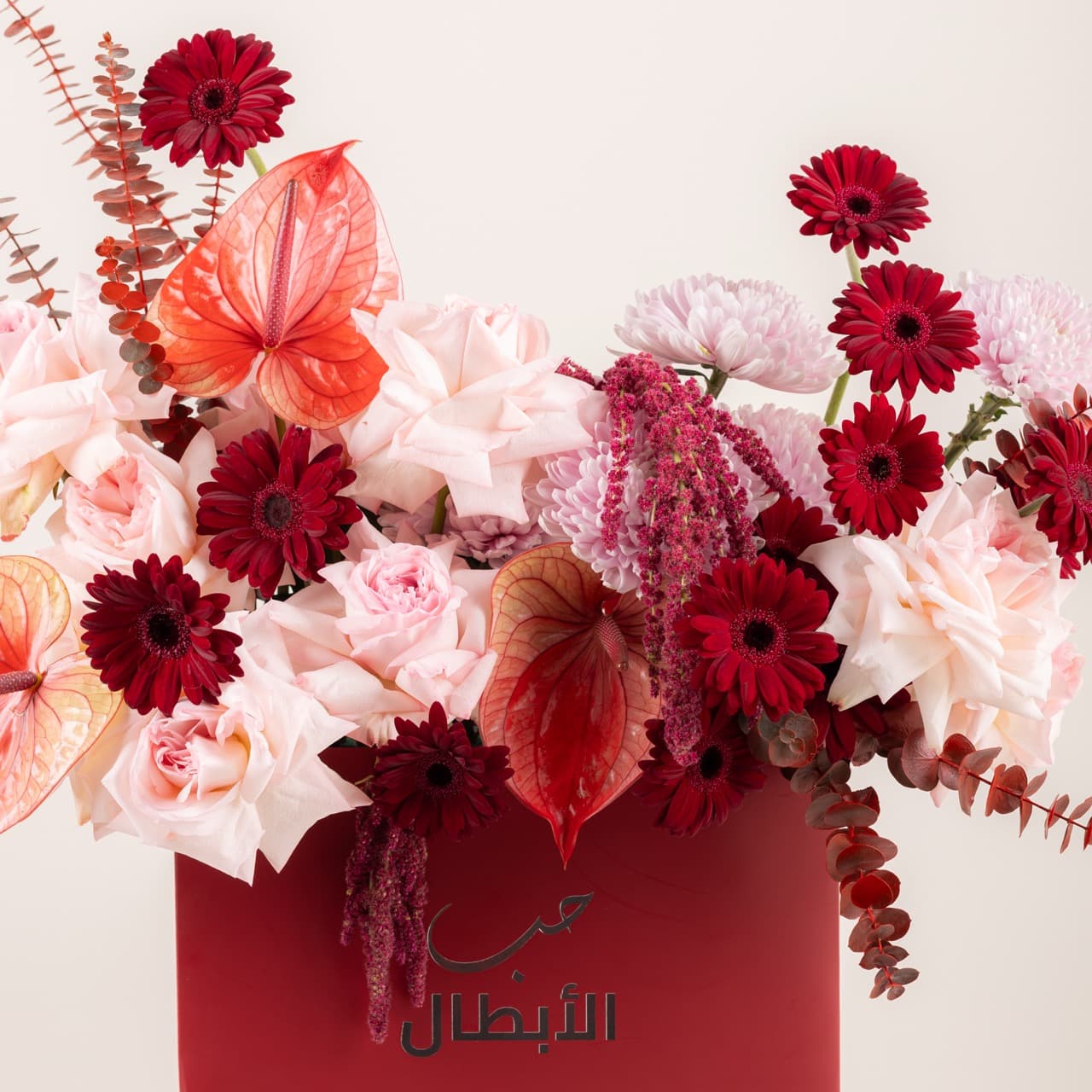 بريف لاف - بروميس