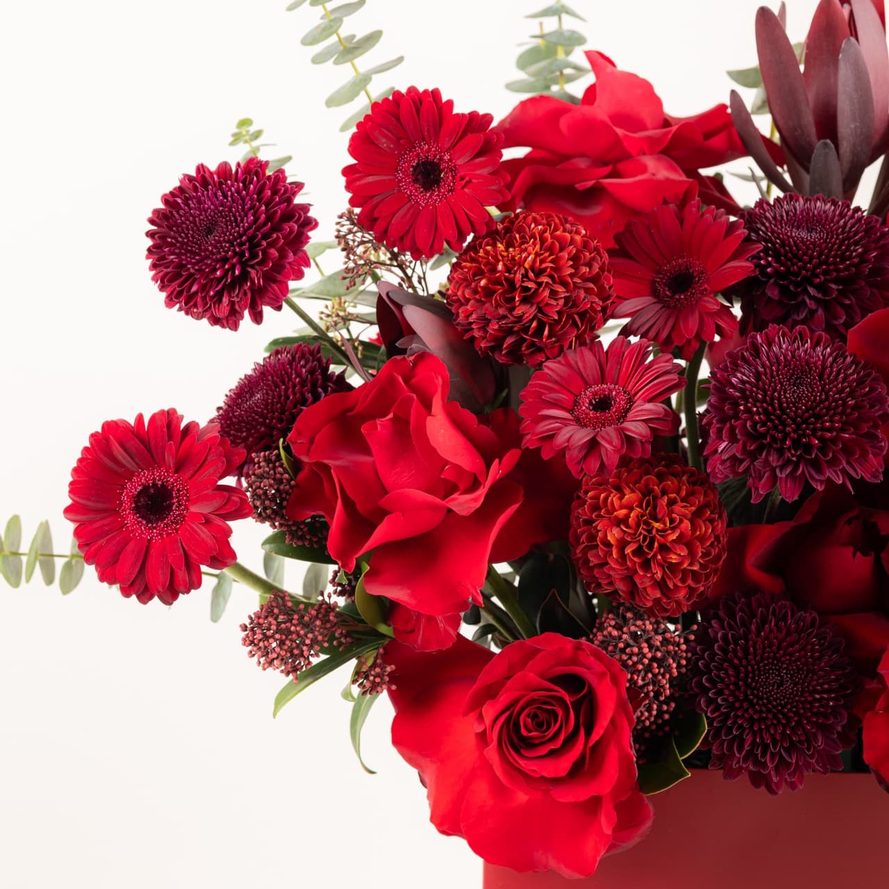 بريف لاف - ماين