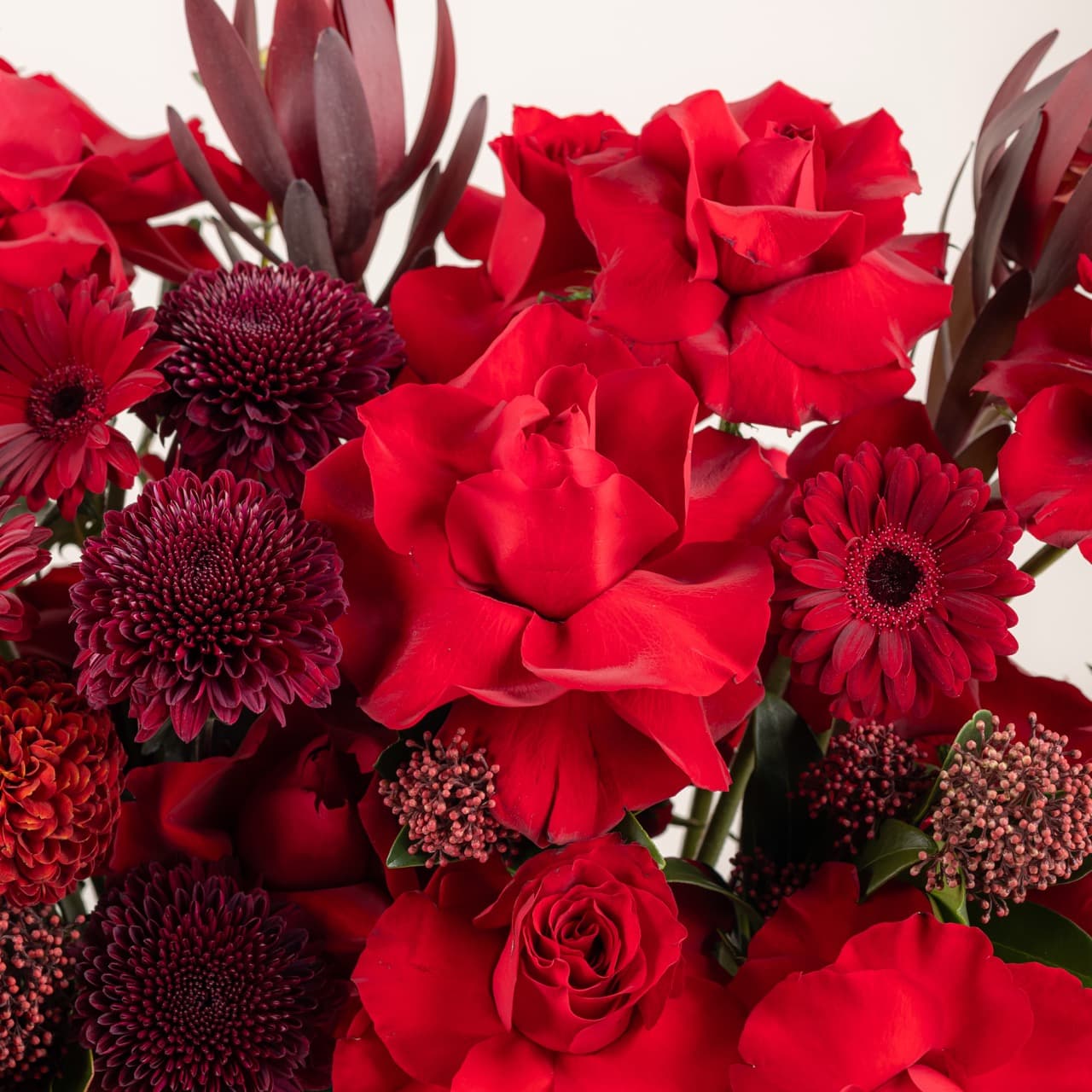 بريف لاف - ماين