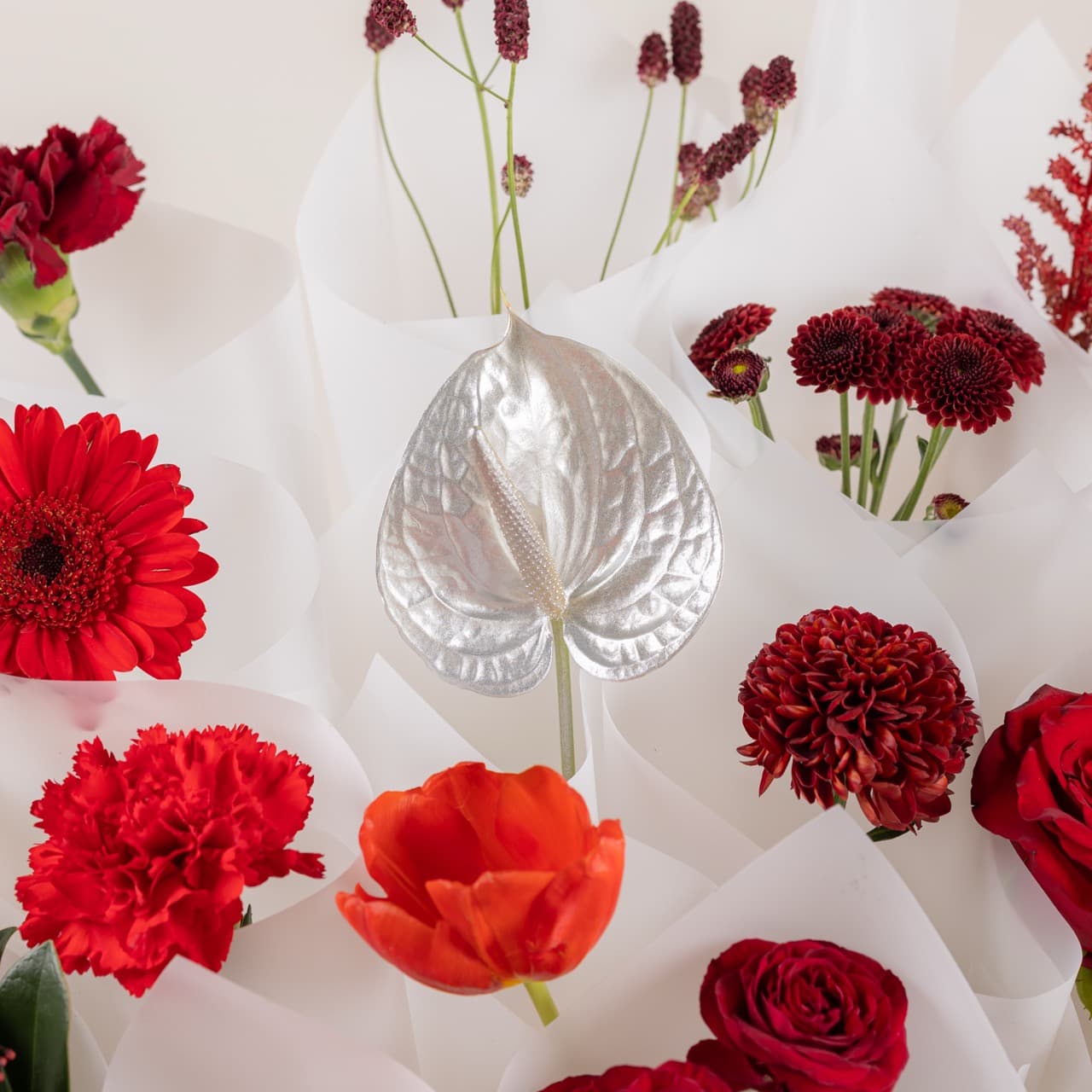 ماي فالنتاين