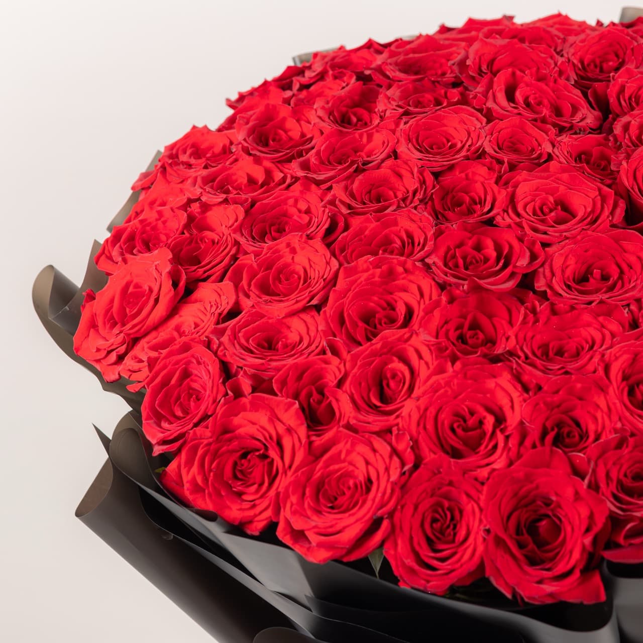 فورإيفر يورز