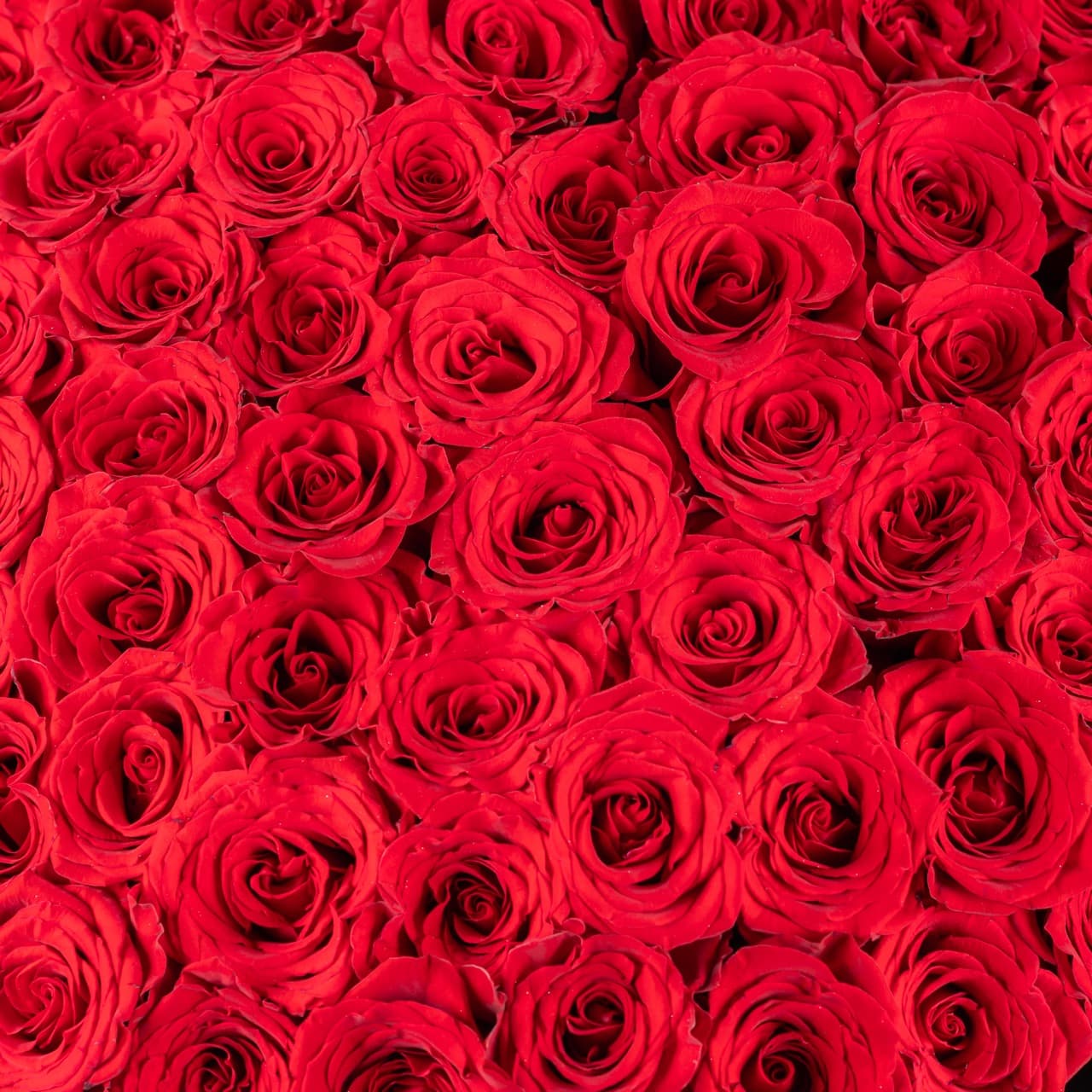 فورإيفر يورز