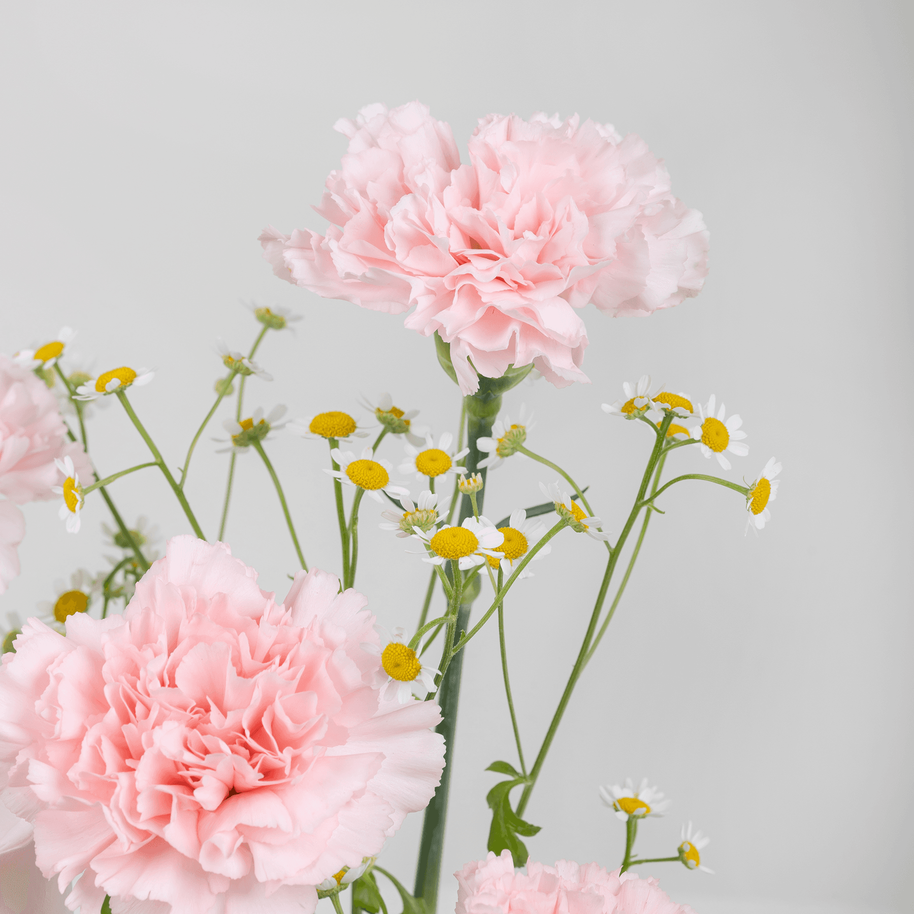 ูุงูุฏู ุจููู ุตูุฏุงู