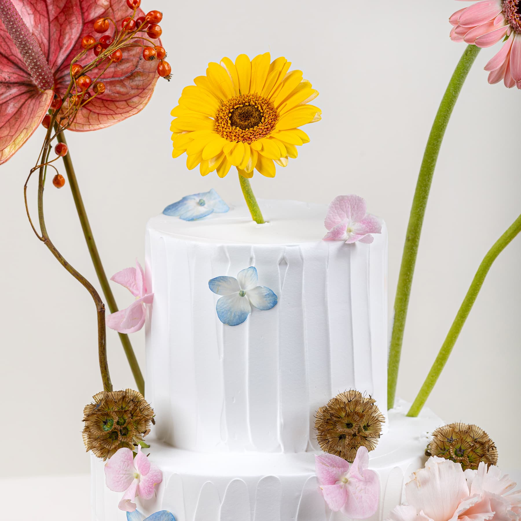 ذا بلوسم كيك